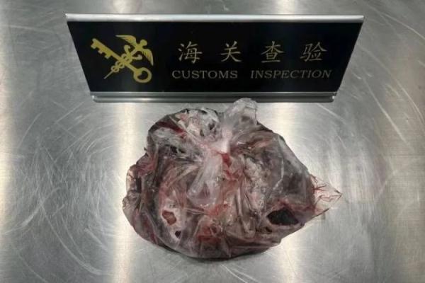 海关打开保温包,竟是人体胎盘…… 海关打开保温包,竟是人体胎盘……