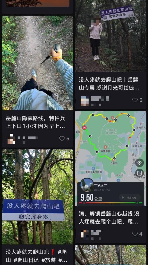 “没人疼就去爬山吧！”这个秋天，来岳麓山徒步成了踏秋新风尚