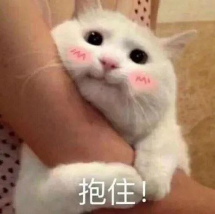 东莞去广深更方便！这些高速、大桥即将改扩建…