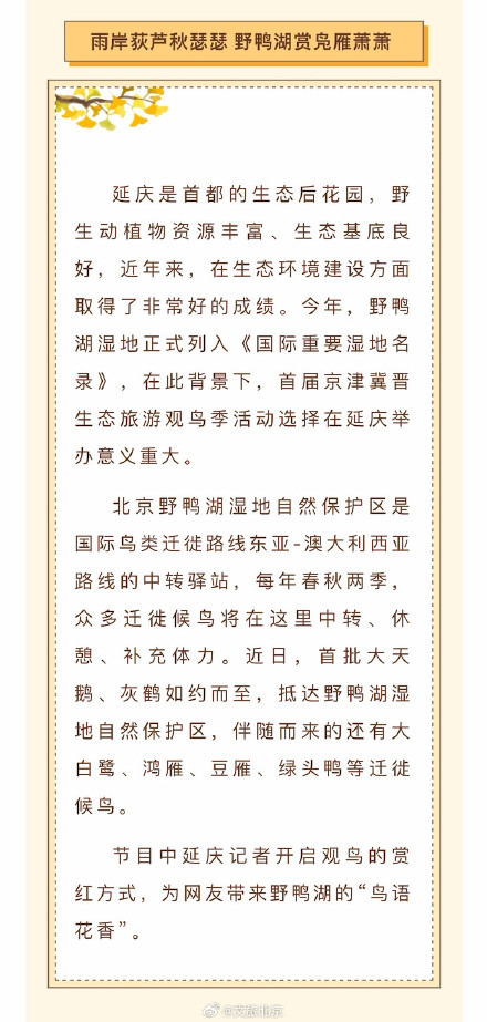 解锁深秋北京赏红叶最佳观赏地