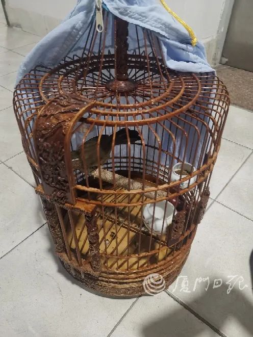 注意！一大爷摊上事了 这事很多人不知道……