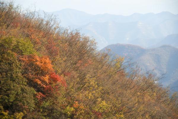 游太行一号公路,赏阳泉金秋红叶 游太行一号公路,赏阳泉金秋红叶