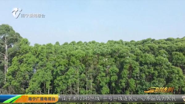 横州一公园发现新记录物种 横州一公园发现新记录物种