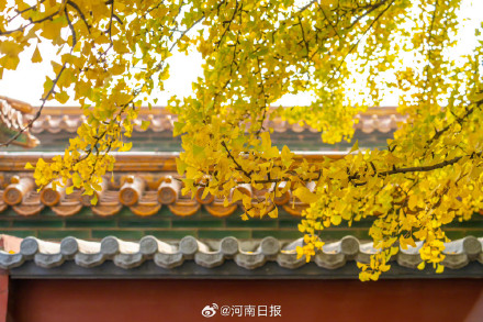 红墙绿瓦黄叶真的是中国顶级配色