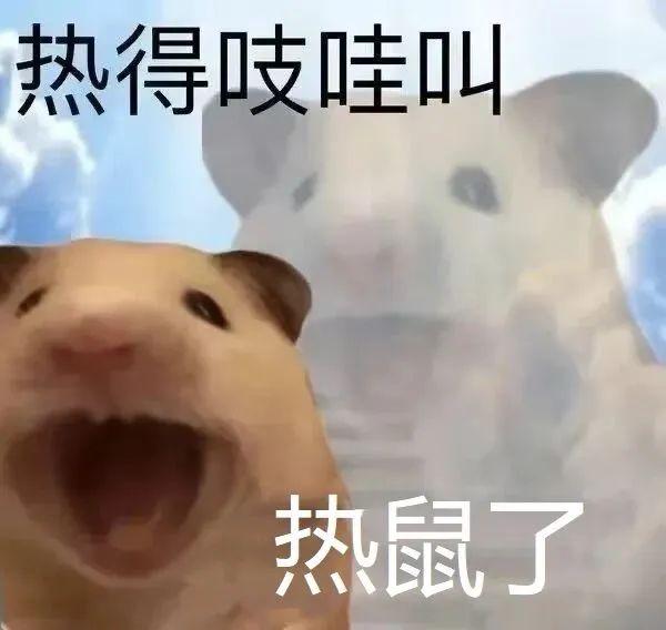 气温还将攀升！厦门天气大反转临近！雨水+降温+大风就在……