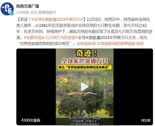 全球朱鹮数量2023年破万只 全球朱鹮数量2023年破万只