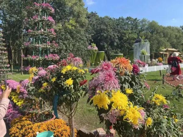 罕见！上海11月这么热，即将开启冷暖大逆转！2天内直降17℃