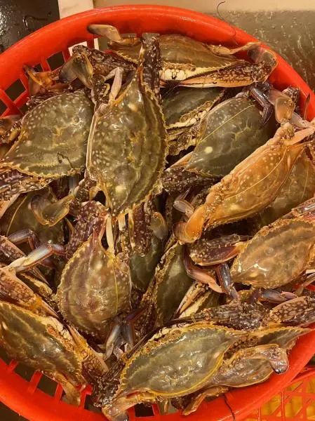螃蟹跌出了"白菜价"? 菜市场摊主：近期蟹价处于一年中的低位