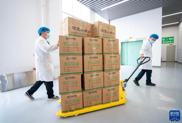 云南昭通：推动小肉串烧烤产业规范化发展