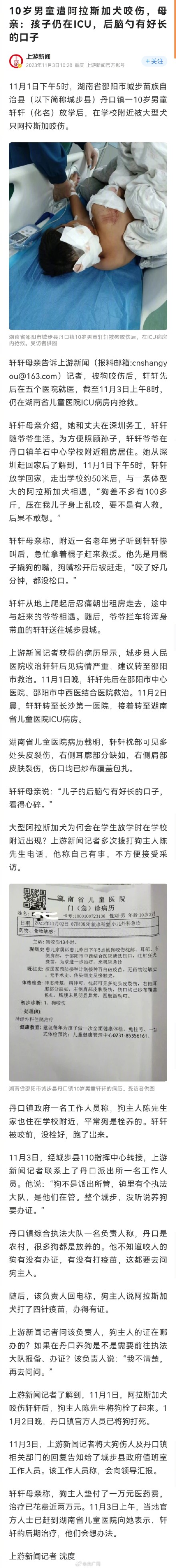 10岁男童遭阿拉斯加犬咬伤仍在抢救