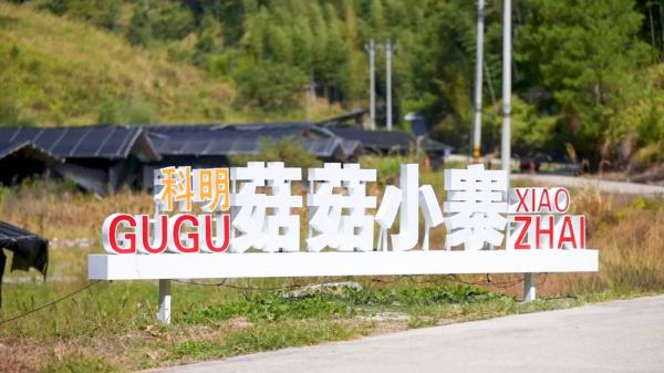 连城赖源：“四下基层”兴产业 菌菇飘香振兴路
