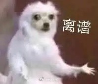史上11月最暖一天！江浙沪多地暖破11月气温纪录