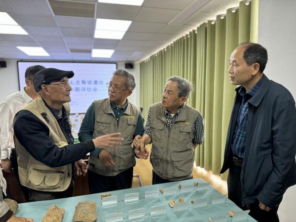 巫山龙骨坡遗址中期评估会在巫山庙宇镇召开
