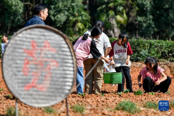 湖北黄梅:劳动教育助力学生健康成长 湖北黄梅:劳动教育助力学生健康成长