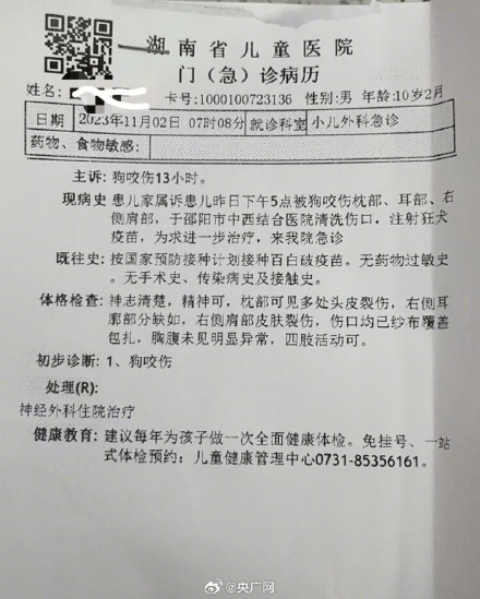 10岁男童遭阿拉斯加犬咬伤仍在抢救