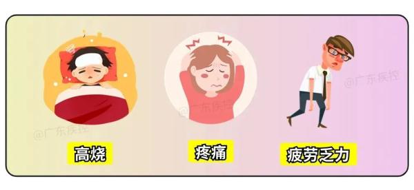 已进入高发期！两种病毒共同流行！广东疾控紧急提醒