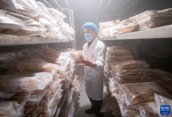 云南昭通：推动小肉串烧烤产业规范化发展