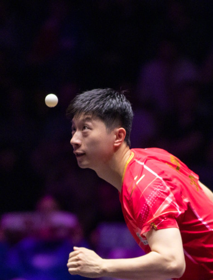 WTT法兰克福冠军赛:马龙晋级男单八强 WTT法兰克福冠军赛:马龙晋级男单八强