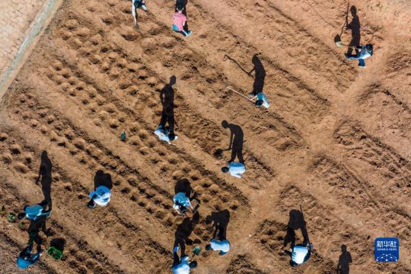 湖北黄梅:劳动教育助力学生健康成长 湖北黄梅:劳动教育助力学生健康成长