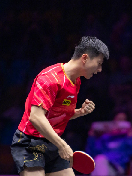 WTT法兰克福冠军赛:马龙晋级男单八强 WTT法兰克福冠军赛:马龙晋级男单八强