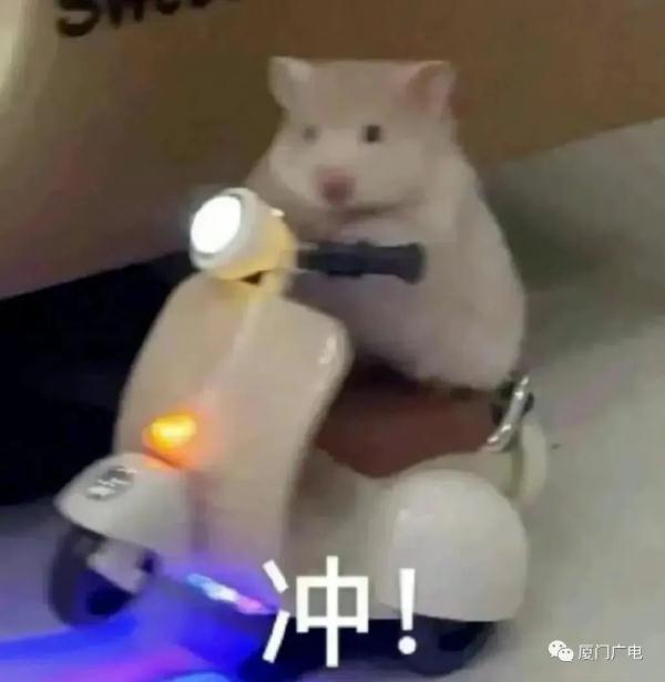气温还将攀升！厦门天气大反转临近！雨水+降温+大风就在……