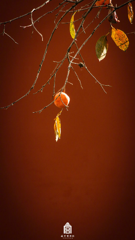 秋日故宫壁纸上新了