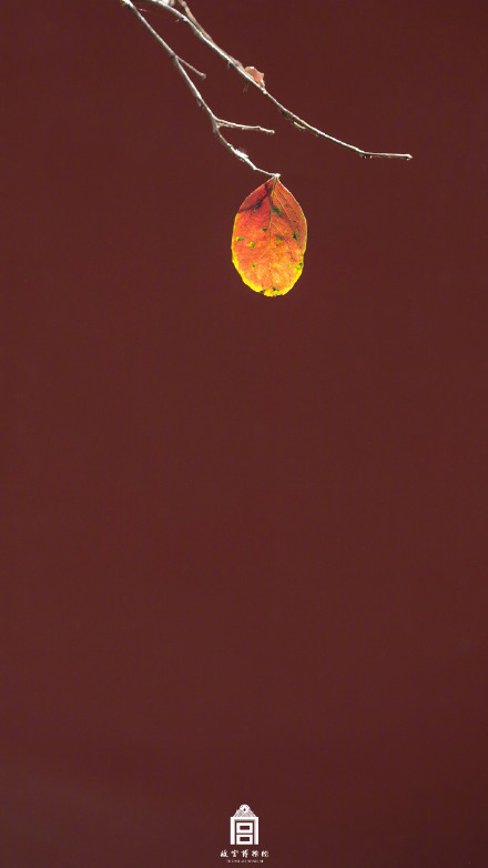 秋日故宫壁纸上新了