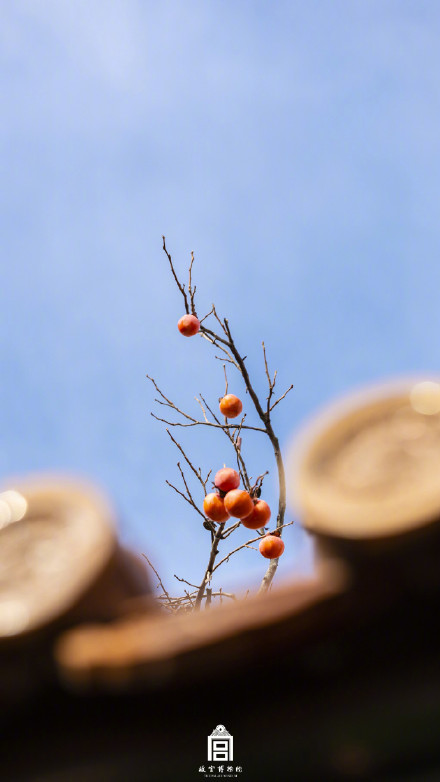 秋日故宫壁纸上新了