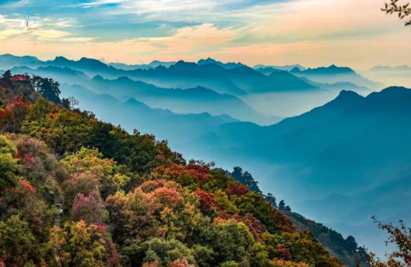 美无边!《秦岭秋日图鉴》来了 美无边!《秦岭秋日图鉴》来了