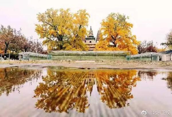 北京赏秋地图大全，这些私藏小众秋景打卡地别错过！