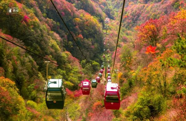 美无边!《秦岭秋日图鉴》来了 美无边!《秦岭秋日图鉴》来了