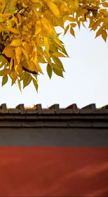 北京赏秋地图大全，这些私藏小众秋景打卡地别错过！