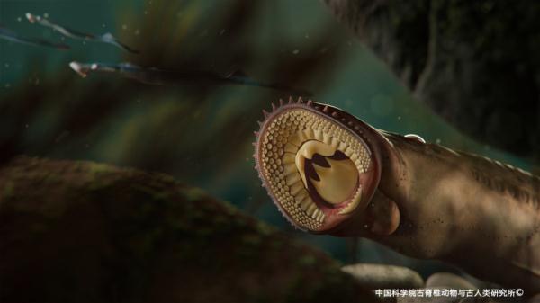 远古发现 | “水下杀手”七鳃鳗1.6亿年前可能“吃肉”不“饮血”