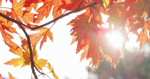 别急!莫慌!全国气温“跳水”大赛要来了 别急!莫慌!全国气温“跳水”大赛要来了