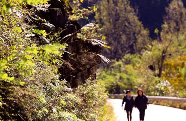 美无边!《秦岭秋日图鉴》来了 美无边!《秦岭秋日图鉴》来了