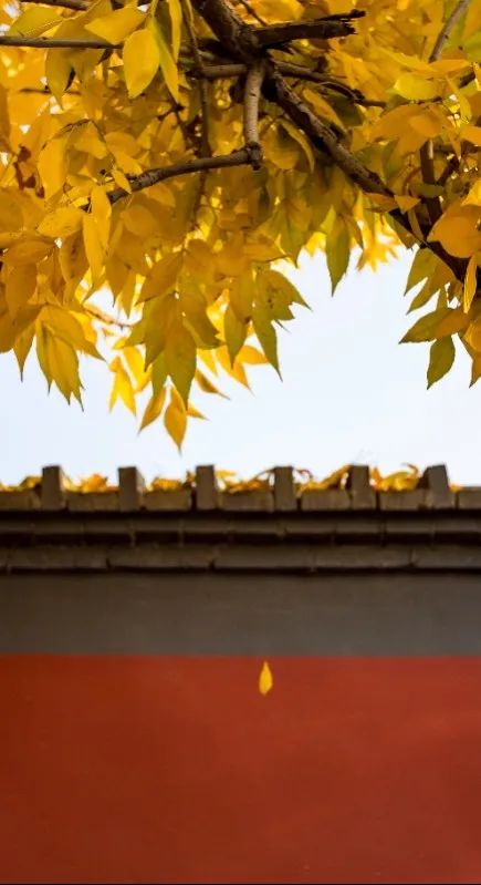 北京赏秋地图大全，这些私藏小众秋景打卡地别错过！