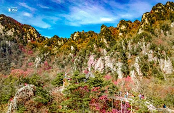 美无边!《秦岭秋日图鉴》来了 美无边!《秦岭秋日图鉴》来了