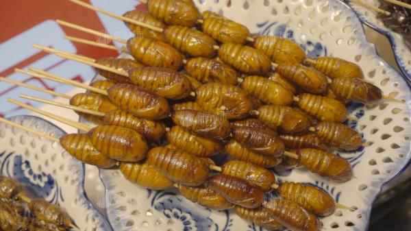 什么虫子动了广东人的DNA? 什么虫子动了广东人的DNA?