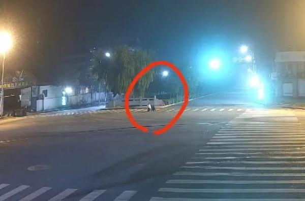 拉车门盗窃10万!6人被抓,你的车门关好了吗? 拉车门盗窃10万!6人被抓,你的车门关好了吗?