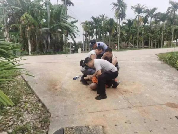 8次盗窃300斤槟榔!一男子被屯昌警方抓获 8次盗窃300斤槟榔!一男子被屯昌警方抓获