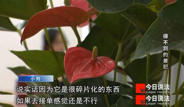 “零元入学”分配高薪兼职？大学生背上分期贷款，5000多人被骗2300余万元……