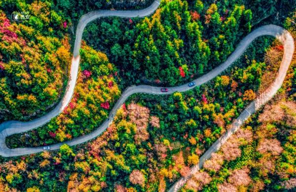 美无边!《秦岭秋日图鉴》来了 美无边!《秦岭秋日图鉴》来了