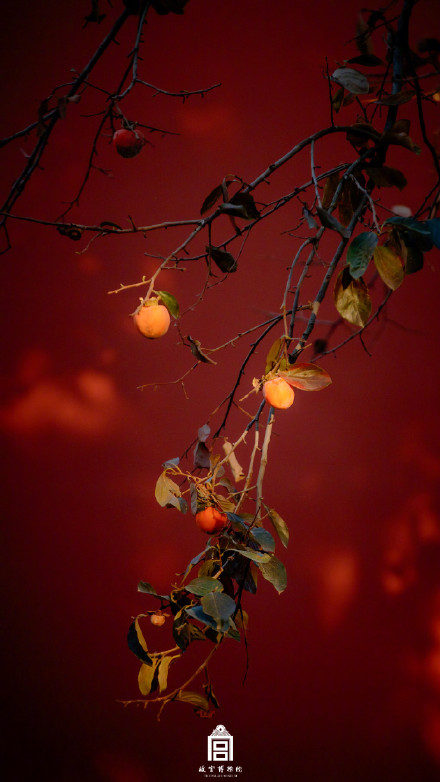 秋日故宫壁纸上新了