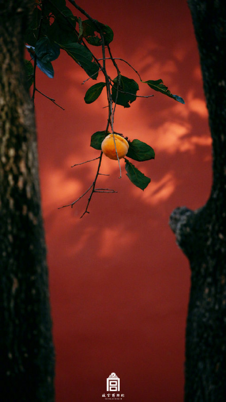 秋日故宫壁纸上新了