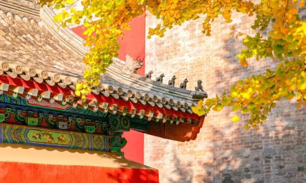 北京赏秋地图大全，这些私藏小众秋景打卡地别错过！