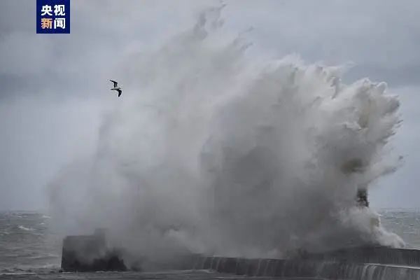 停航、停运、停课！风暴“夏兰”在欧洲已致至少16人遇难