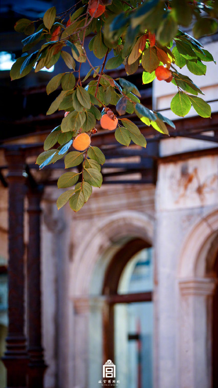 秋日故宫壁纸上新了