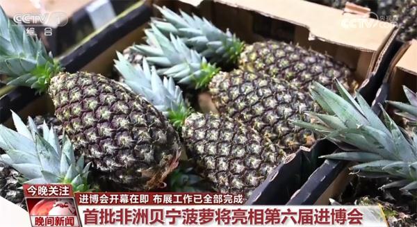 数说本届进博之“最” 目前布展工作已经全部完成