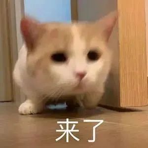 【实用知识】乳腺检查报告怎么看？这篇讲清楚了→