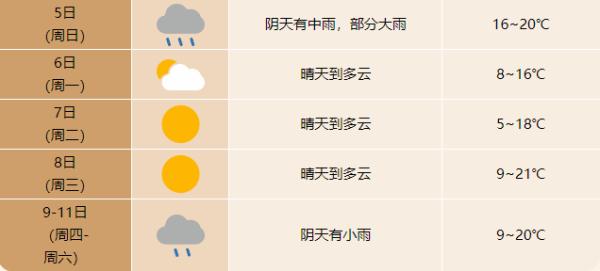寒潮来了！合肥断崖式降温，最低仅5℃！